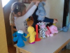 imag5681