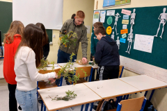 Biologija na cvetni petek