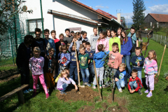 ENO Tree Planting