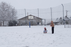 IMG_20250214_094442_800x600