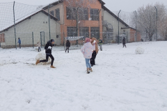 IMG_20250214_094458_1_800x600