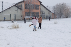 IMG_20250214_094459_800x600