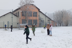 IMG_20250214_094552_800x600