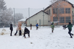 IMG_20250214_094647_800x600