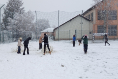 IMG_20250214_094655_800x600