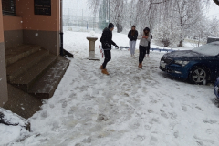 IMG_20250214_095059_800x600