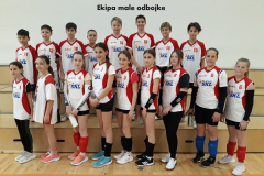 Odbojka