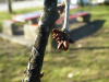 fotografija-10