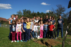 Sajenje drevesa (ENO Tree Planting)