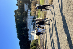 IMG_9788_800x600
