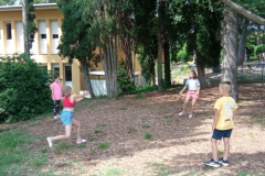 1718219247133_800x369
